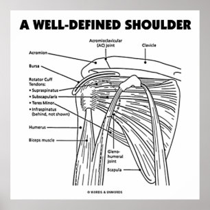 A Well-Defined Shoulder (Anatomical Humor) Poster