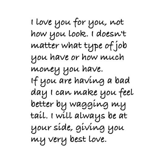 A Wet Nose Address Book (Inside Cover)