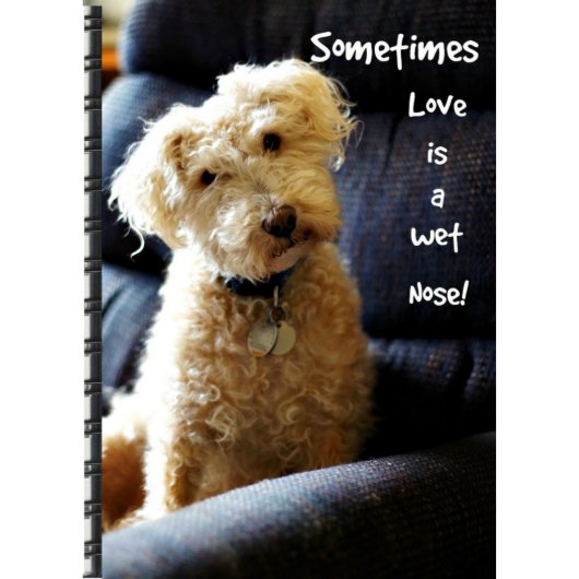 A Wet Nose Address Book (Front)