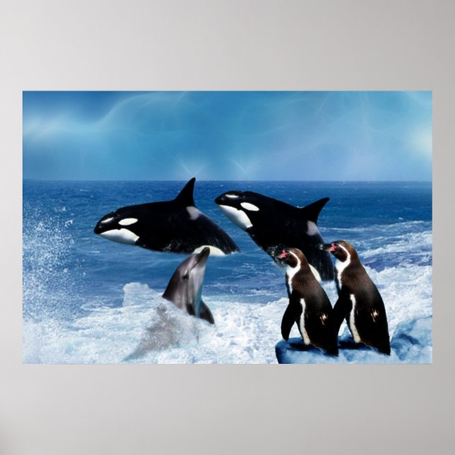 A whale of a world poster (Front)