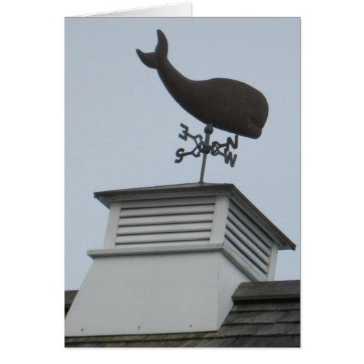 "A Whale Weathervane" Cards (Front)