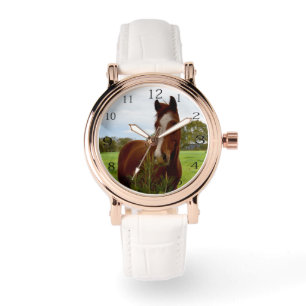 "A Whiff of Nature: A Chestnut Horse and Banksia, Watch