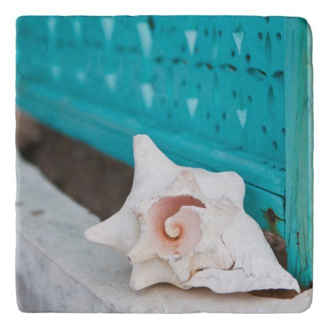 A White And Pink Jamaican Sea Shell Sits Alone Trivet (Front)