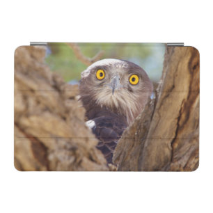 A White-breasted Snake Eagle iPad Mini Cover