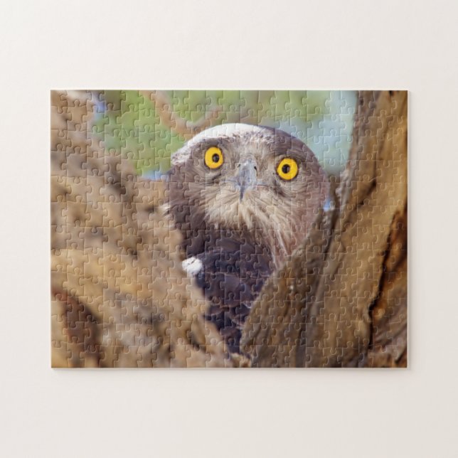 A White-breasted Snake Eagle Jigsaw Puzzle (Horizontal)