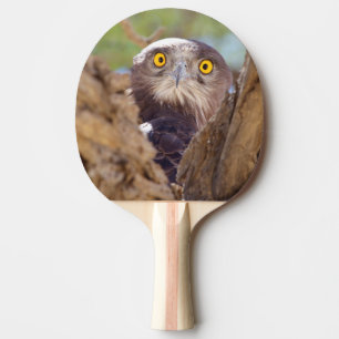 A White-breasted Snake Eagle Ping-Pong Paddle