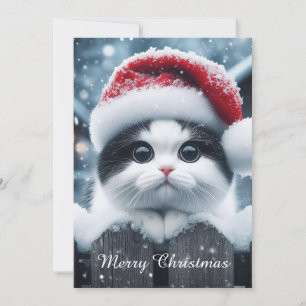 A white cat with Santa hat  Holiday Card
