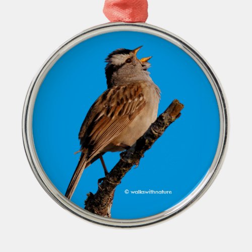A White_Crowned Sparrow Sings to the Sun Metal Ornament