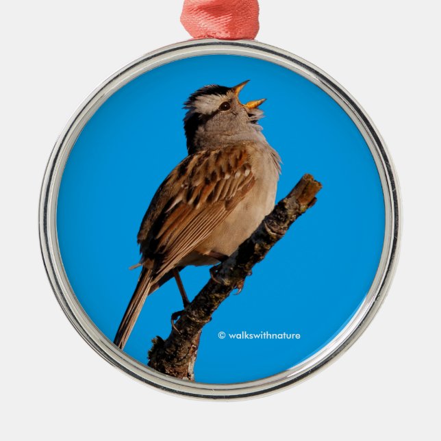 A White-Crowned Sparrow Sings to the Sun Metal Ornament (Front)