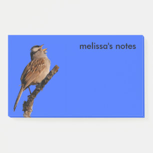 A White-Crowned Sparrow Sings to the Sun Post-it Notes