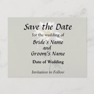 A White Daisy Announcement Postcard