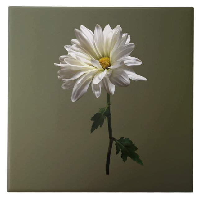 A White Daisy Ceramic Tile (Front)