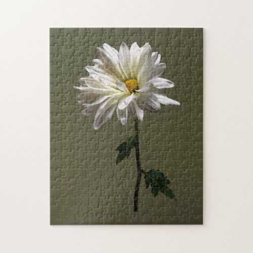 A White Daisy Jigsaw Puzzle