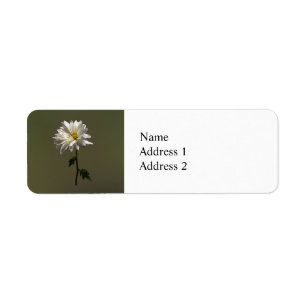 A White Daisy Label
