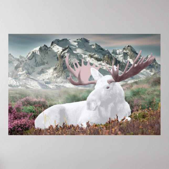 A White Moose in the Montain  Poster (Front)