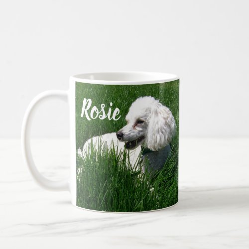 A White Poodle Resting in Lush Green Grass Coffee Mug