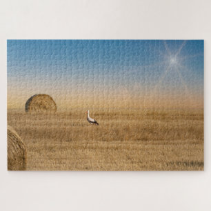 A white stork  jigsaw puzzle