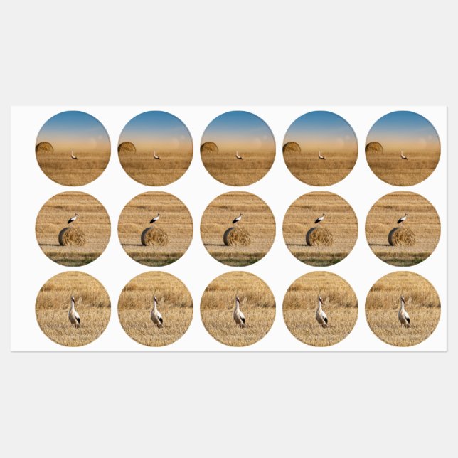 A white stork  labels (Sheet)