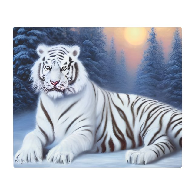 A White Tiger Sitting in the Snow  Metal Print (Front)