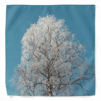 A White Willow Tree Against Cloudless Blue Sky Bandana