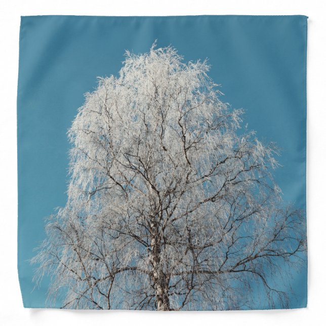A White Willow Tree Against Cloudless Blue Sky Bandana (Front)