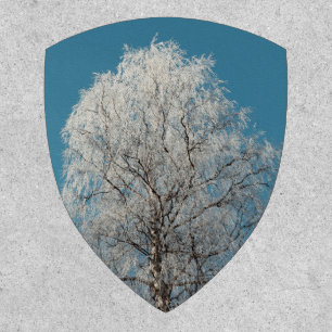 A White Willow Tree Against Cloudless Blue Sky Patch