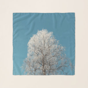 A White Willow Tree Against Cloudless Blue Sky Scarf