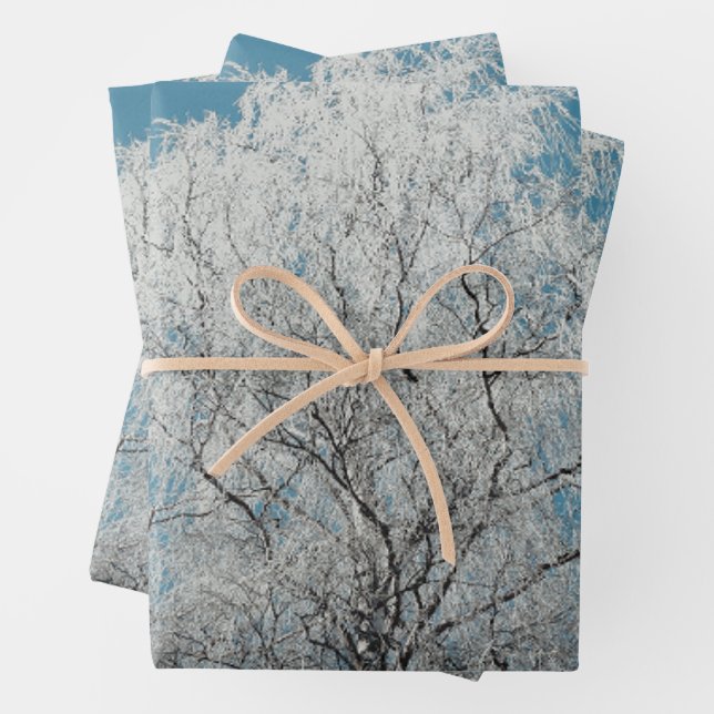 A White Willow Tree Against Cloudless Blue Sky Wrapping Paper Sheets (In situ)