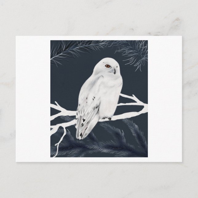 A white winter owl perches on a branch postcard (Front)