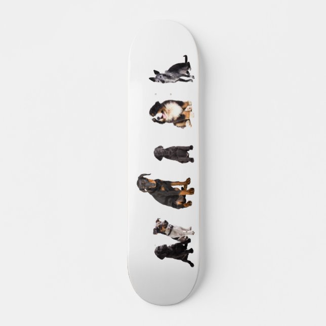 a whole lot of dogs skateboard deck (Front)