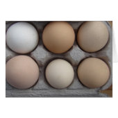 A Wide Variety (Front Horizontal)