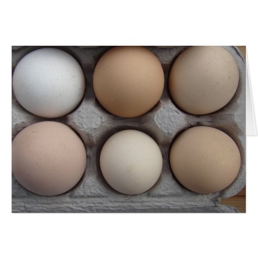 A Wide Variety (Front Horizontal)