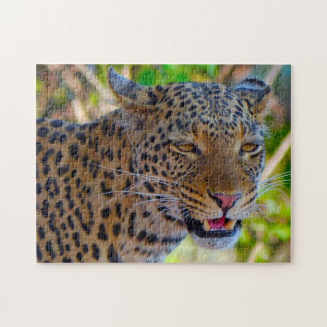 A Wild African Leopard. Jigsaw Puzzle (Horizontal)