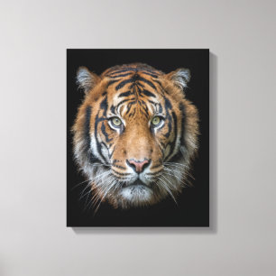 A wild Bengal Tiger face Canvas Print
