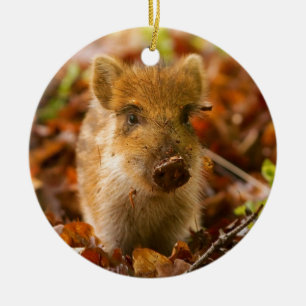 A Wild Boar Piglet Sus Scrofa in the Autumn Leaves Ceramic Ornament