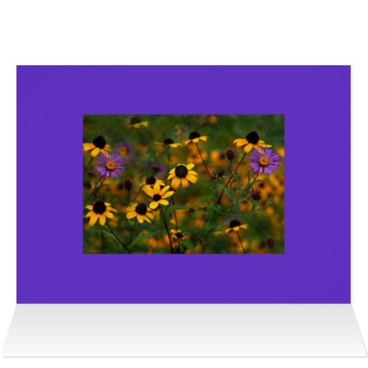 A windy Day (Inside Horizontal (Top))