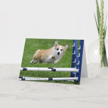 A Wink And A Wave Agility Corgi Card by woodlandesigns at Zazzle