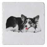 A Wink of Red at Every Sip Trivet