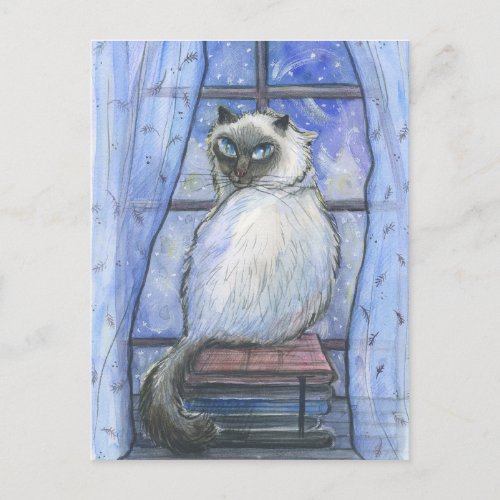 A winter cat postcard