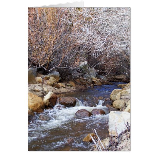 A Winter Creek Cards (Front)