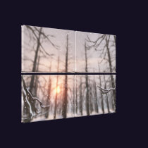 A Winter Night's Dream Canvas Print