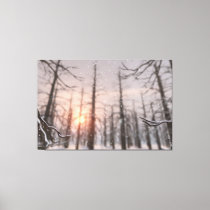 A Winter Night's Dream Canvas Print