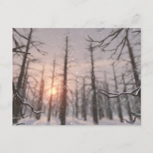 A Winter Nights Dream Postcard