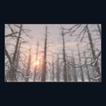A Winter Night's Dream Stickers