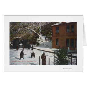 A Winter Scene, Adults Playing in Snow Cards