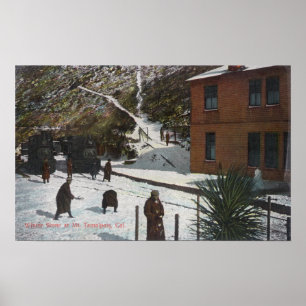 A Winter Scene, Adults Playing in Snow Poster