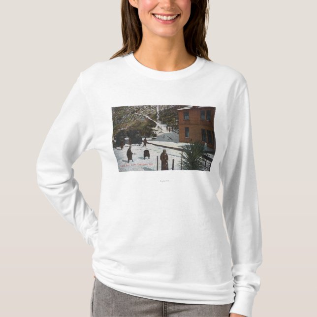 A Winter Scene, Adults Playing in Snow T-Shirt (Front)