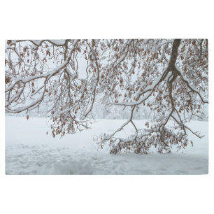 A Winter Scene Metal Print