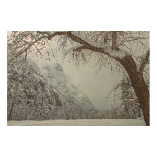 A Winter Scene Wood Wall Art