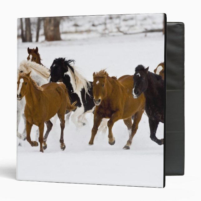 A winter scenic of running horses binder (Front/Inside)